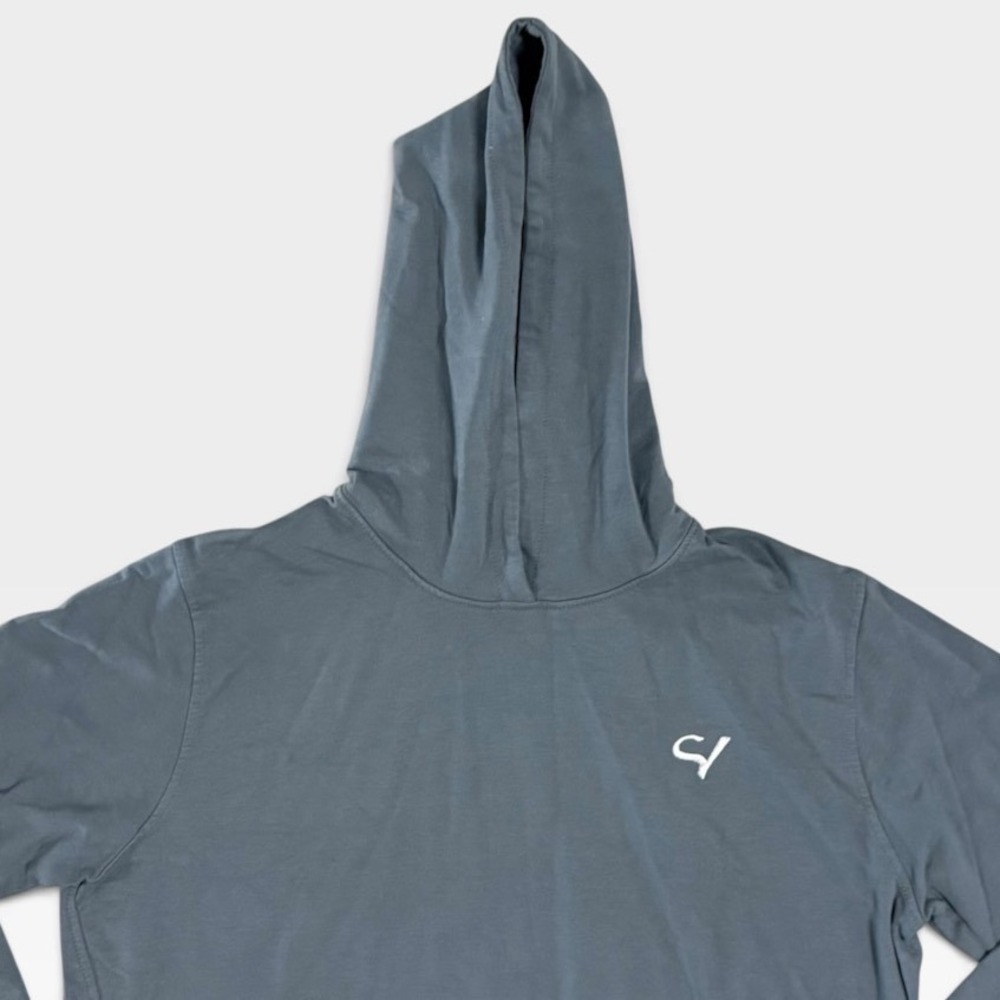 Peter Millar Sand Valley Hoodie Mens Large Cotton Performance Pullover Blue Gray